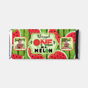 ONE in a Melon Watermelon First Birthday 2 Photos Hershey Bar Favors