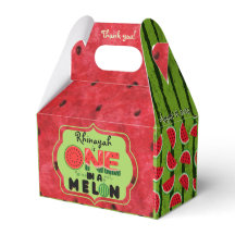 ONE in a Melon Watermelon First Birthday Photo