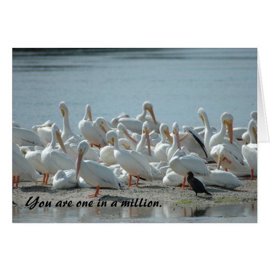 ONE IN A MILLION: CARD (Front Horizontal)