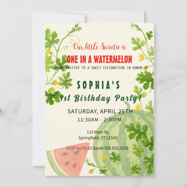 One in a Watermelon! 1st Birthday Party Invitation (Front)
