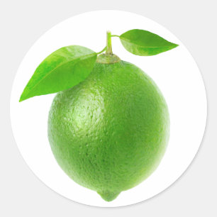 One lime with leaves classic round sticker