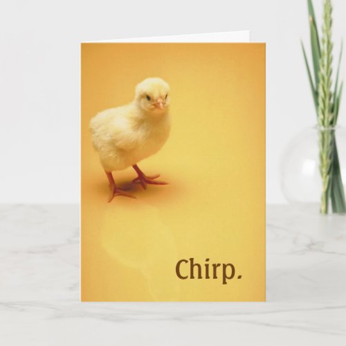 One Little Chick Easter Card
