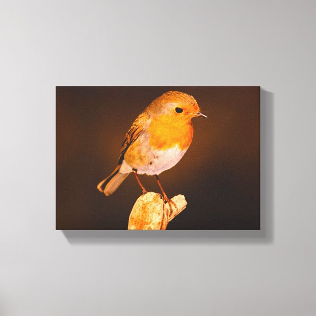 One Little Robin Bird On Perch Canvas Print (Front)