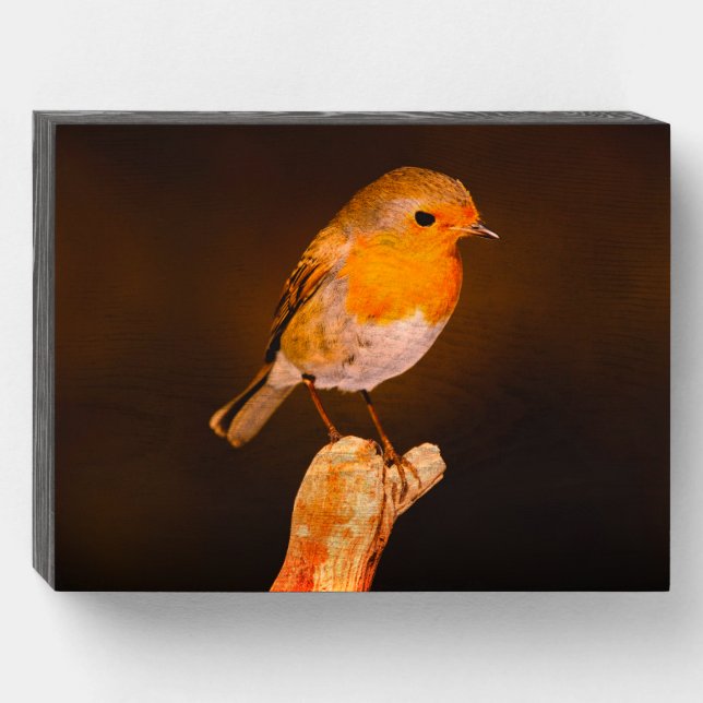 One Little Robin Bird On Perch Wooden Box Sign (Front Horizontal)