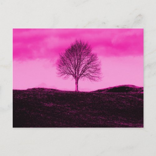 One Lone Tree Silhouette Hot Pink Landscape Postcard