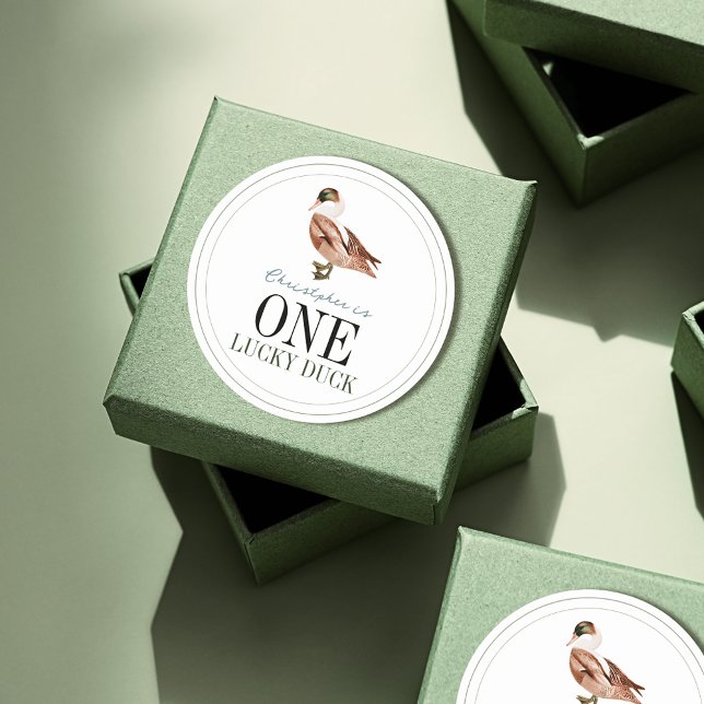 One Lucky Duck Classic Boy 1st Birthday Round Sticker (One Lucky Duck 1st Birthday Sticker)
