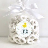 One Lucky Duck First Birthday Party