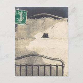 One Mad Kitty! Postcard