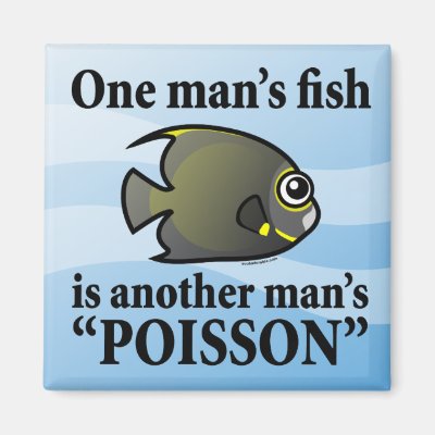 One Man's Fish, Another Man's Poisson Magnet