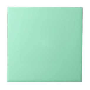 One Mint Ceramic Tile