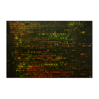 One Month of Sound: Acrylic Print