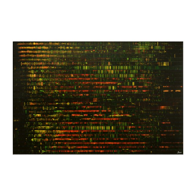 One Month of Sound: Acrylic Print (Front)