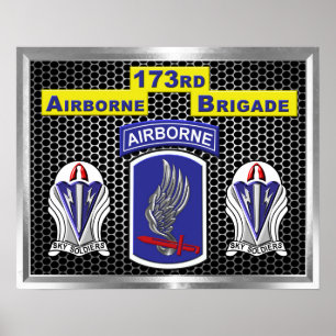 “One of a Kind” 173rd Airborne Brigade Combat  Poster