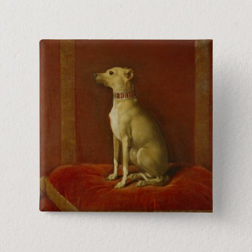 One of Frederick IIs Italian greyhounds Button