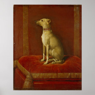 One of Frederick II's Italian greyhounds Poster