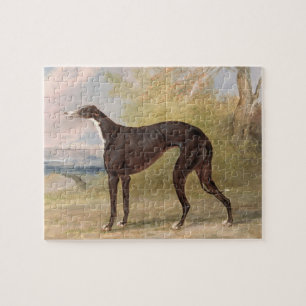 One of George Lane Fox's Winning Greyhounds: the B Jigsaw Puzzle