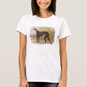 One of George Lane Fox's Winning Greyhounds: the B T-Shirt
