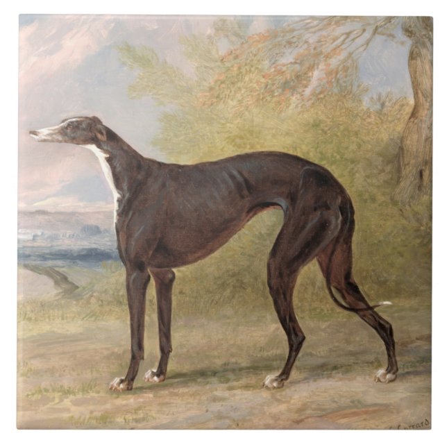 One of George Lane Fox's Winning Greyhounds: the B Tile (Front)