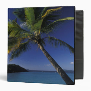 One of the World's Best beaches; Trunk Bay on Binder