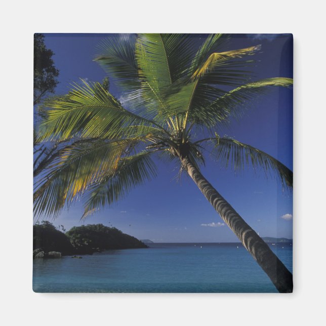 One of the World's Best beaches; Trunk Bay on Magnet (Front)