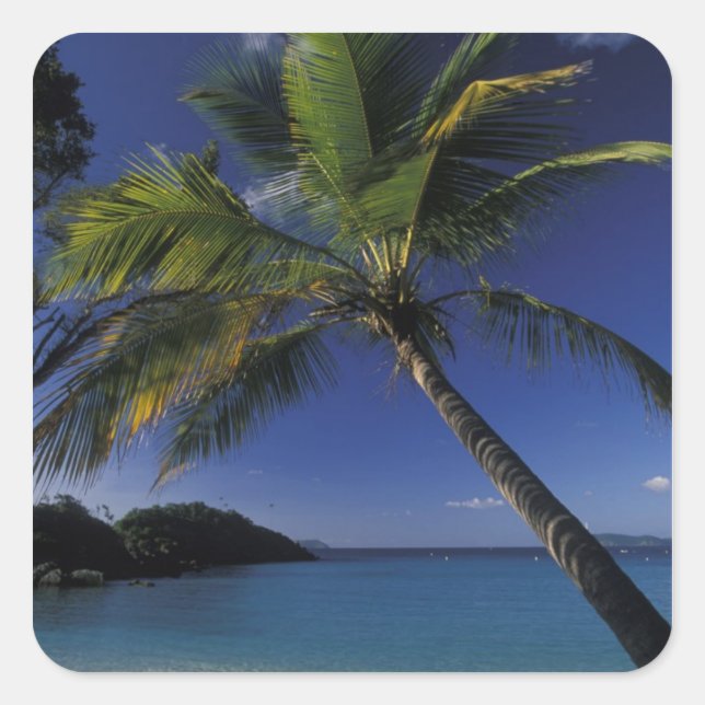 One of the World's Best beaches; Trunk Bay on Square Sticker (Front)