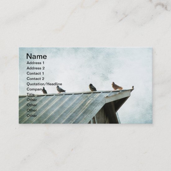 One of Them Does Not Belong, 4 Pigeons & 1 Sparrow Business Card