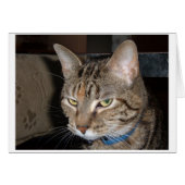 One of those days (Front Horizontal)