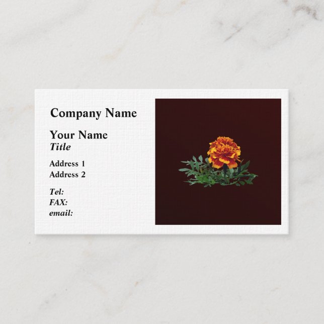One Orange Marigold with Yellow Tips Business Card (Front)