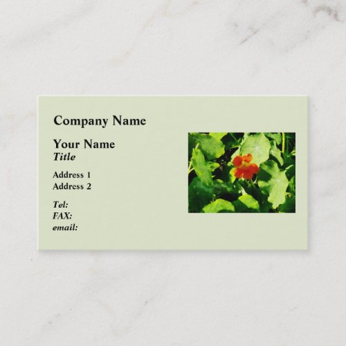 One Orange Nasturtium Business Card