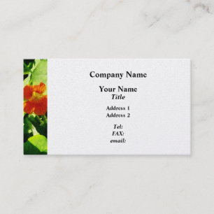 One Orange Nasturtium - Platinum Finish Business Card