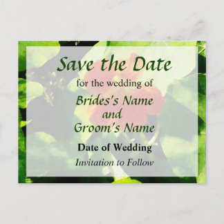 One Orange Nasturtium Save the Date Announcement Postcard
