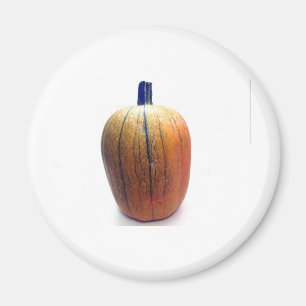 One Orange Pumpkin Magnet