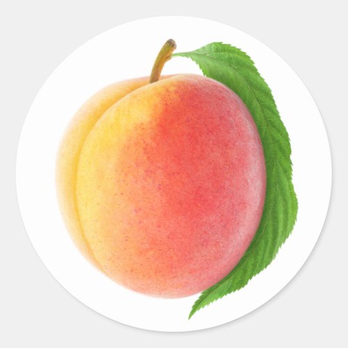 One peach with leaf classic round sticker