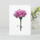 One Pink Carnation (Standing Front)