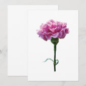 One Pink Carnation (Front/Back)