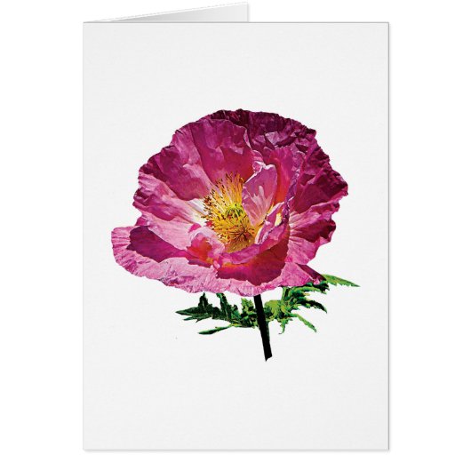 One Pink Poppy Cards (Front)