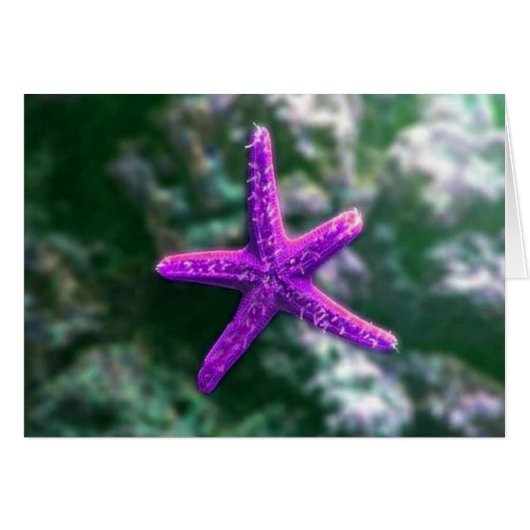 One Purple Starfish Cards (Front Horizontal)