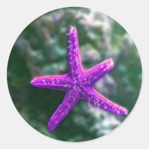 One Purple Starfish Classic Round Sticker