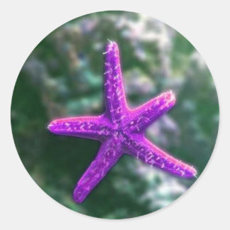 One Purple Starfish Classic Round Sticker