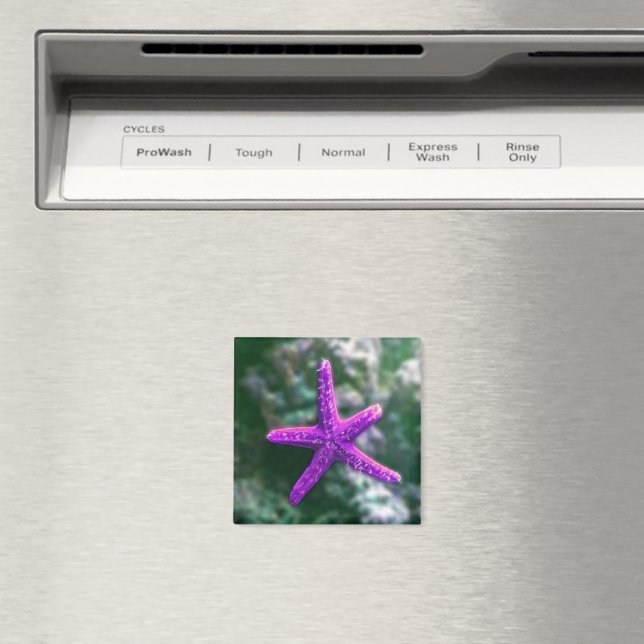 One Purple Starfish Rocky Beach Magnet (In Situ (Dishwasher))