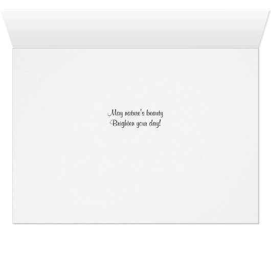 One Red Parrot (Inside Horizontal (Bottom))