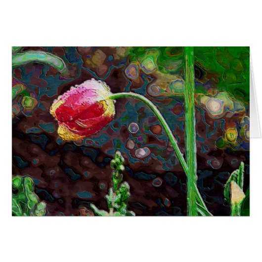 One Red Parrot (Front Horizontal)