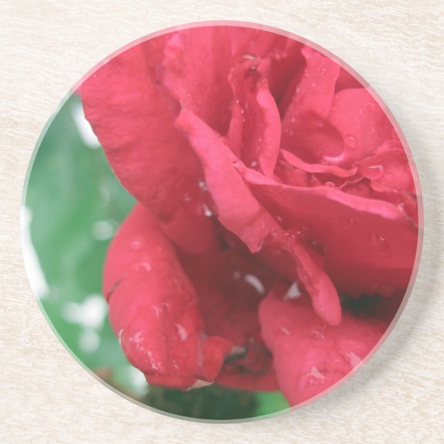 One Red Rose Drink Coaster (Front)