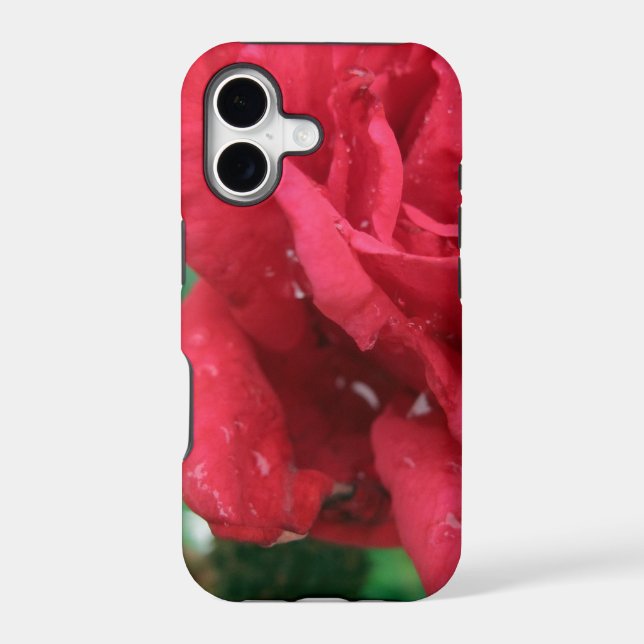 One Red Rose Iphone Case (Back)