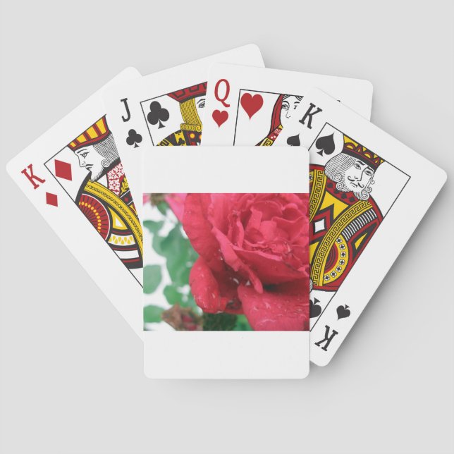 One Red Rose Poker Cards (Back)