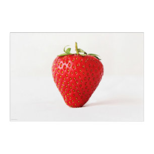 One Red Strawberry 36x24 (90x60cm) waacna Acrylic Print