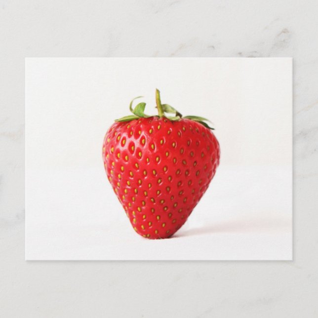 One Red Strawberry pccna Postcard (Front)