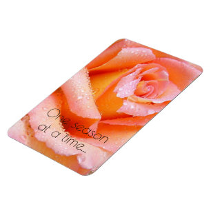 One Season At A Time Peach Rose Magnet