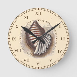 One Shell  Round Clock