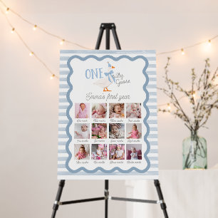 One Silly Goose 12 Month Photo Board Boy Sign